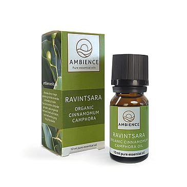 Ambience Kamfertræ Olie (Ravintsara) Økologisk 10 ml