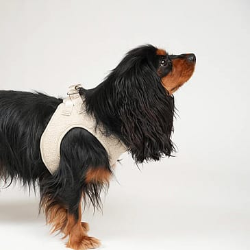 Staey Teddy Step-in Harness Nature M