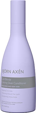 Björn Axén Coloring Silver Conditioner 250 ml