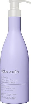 Björn Axén Coloring Silver Shampoo