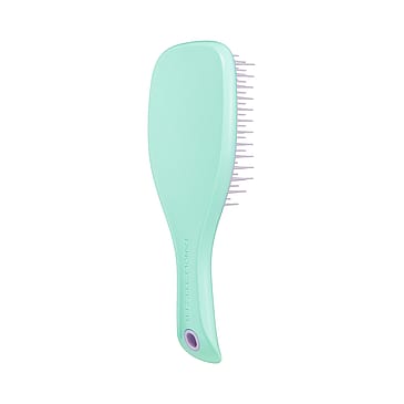 Tangle Teezer Wet Detangler Mini Hair Brush Wisteria Leaf
