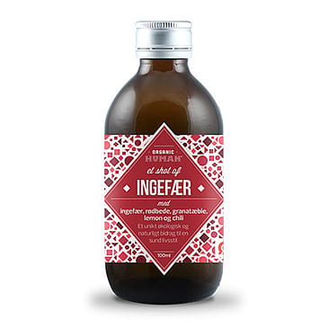 HUMAN Ingefær shot Ø 100 ml
