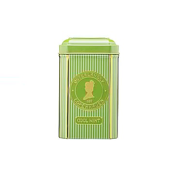 Østerlandsk Pyramide tebreve 12 stk Cool Mint