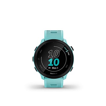 Garmin Forerunner 55 Blue