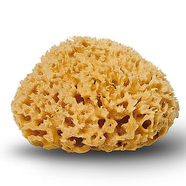 Cocoon Natursvamp Honeycomb