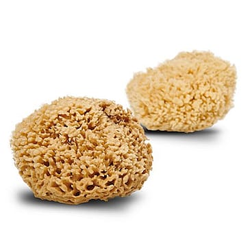 Cocoon Natursvamp Honey Wool