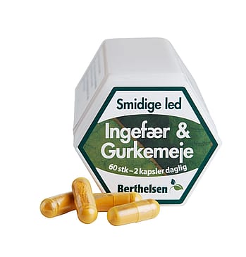 Berthelsen Ingefær og Gurkemeje 60 kaps