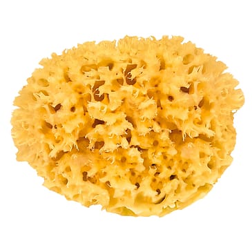Croll & Denecke Natursvamp 11 cm