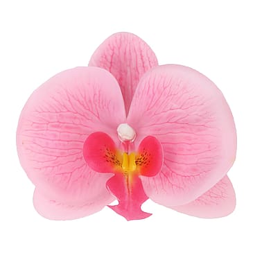 All Styles Hair Clip