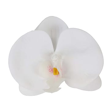 All Styles Hair Clip