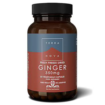 Terranova Ginger 50 stk.