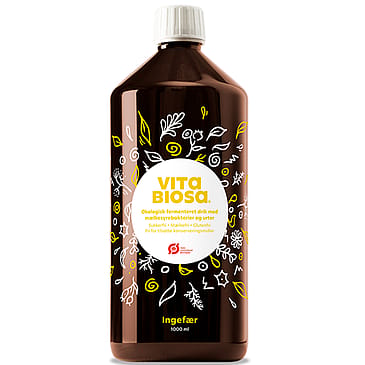 Vita Biosa Fermenteret Drink med Mælkesyrebaktier Ingefær Ø 1000 ml