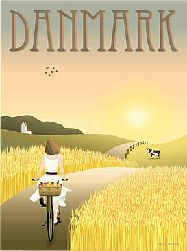 ViSSEVASSE Plakat 'Danmark Markerne' 30 x 40 cm