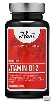 Nani Vitamin B12 90 tabl.