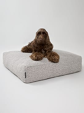 nordog Billy Bouclé Mundepude Taupe L