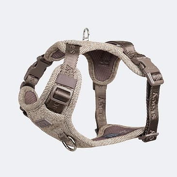 Staey Elma Harness Mocca S