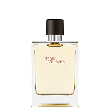 HERMÈS Terre d'Hermès Eau de Toilette 100 ml