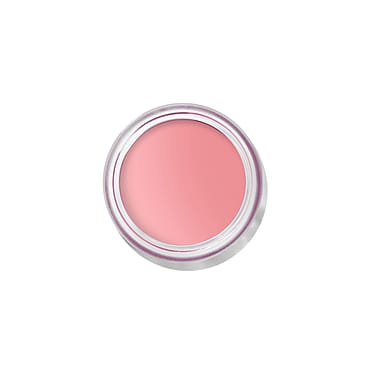 Bobbi Brown Pot Rouge Velvet Matte 12 Petal Pink