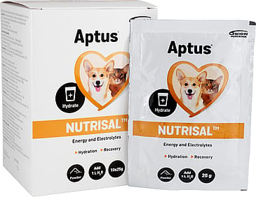 Aptus Nutrisal Pulver 10x25 g