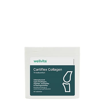 Wellvita Cartiflex Collagen 60 tabl