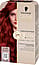 Produktvariant - 6-88 Intensive Red