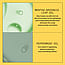 Produktvariantti - 1000 ml