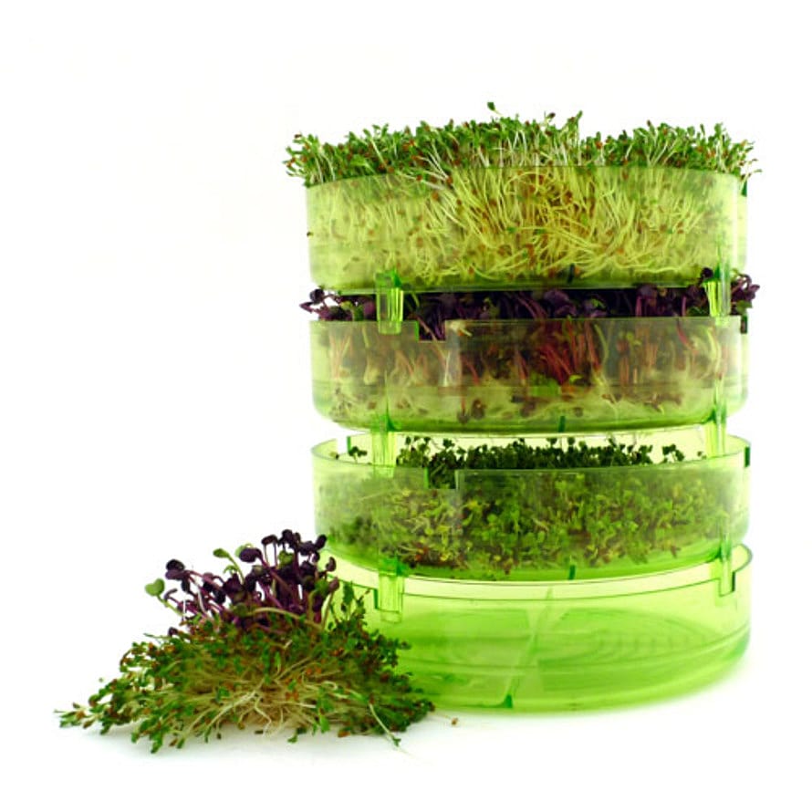 Biogan Spire Sprouter 1 stk.