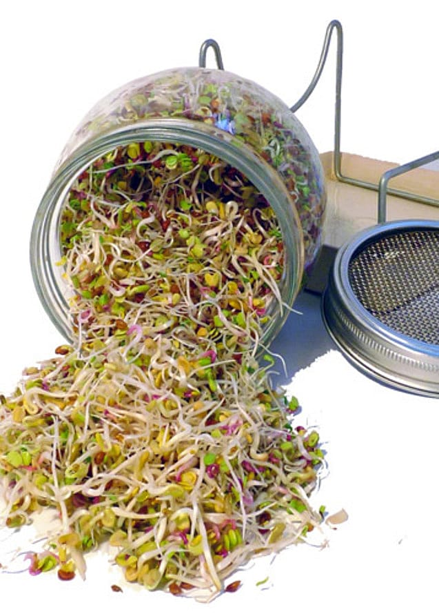 Biogan Spire glas 1 stk.