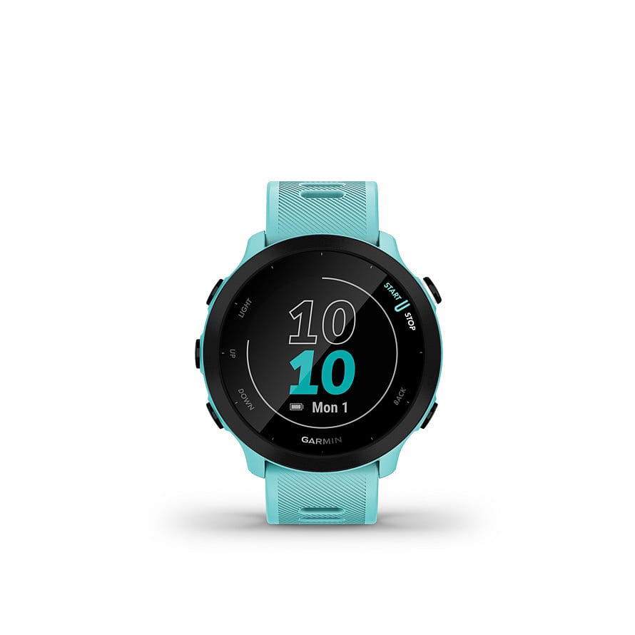Garmin Forerunner 55 Blue