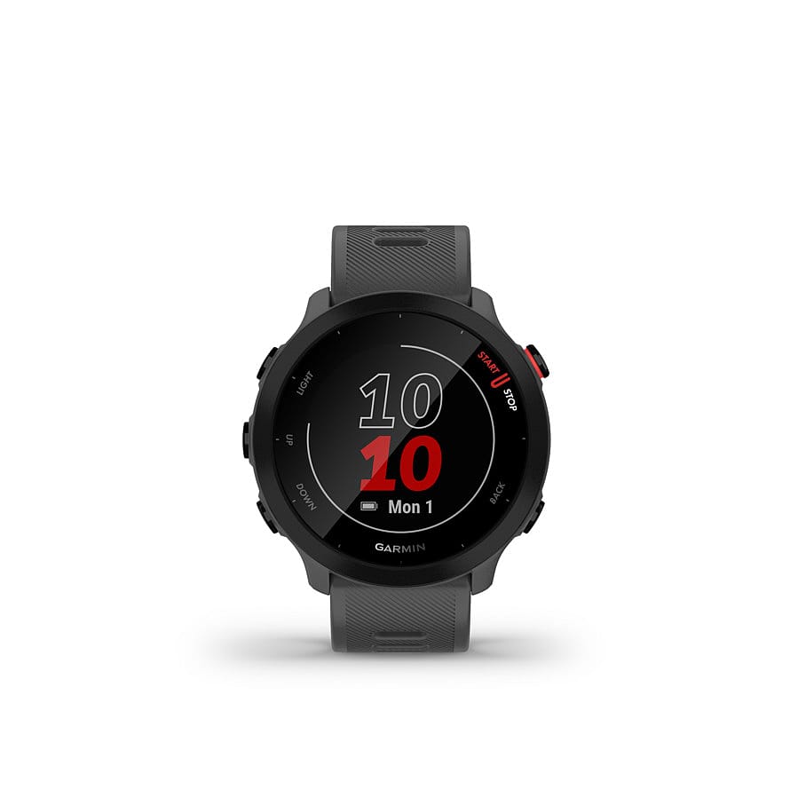 Garmin Forerunner 55 Grey