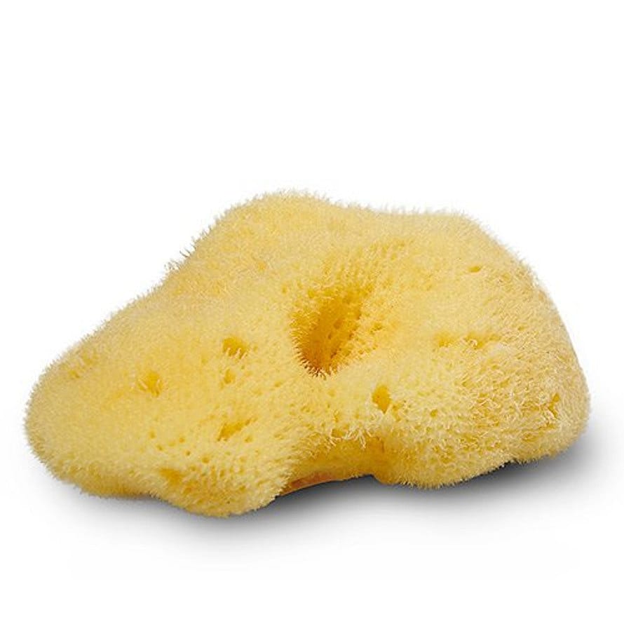 Cocoon Natursvamp Silke