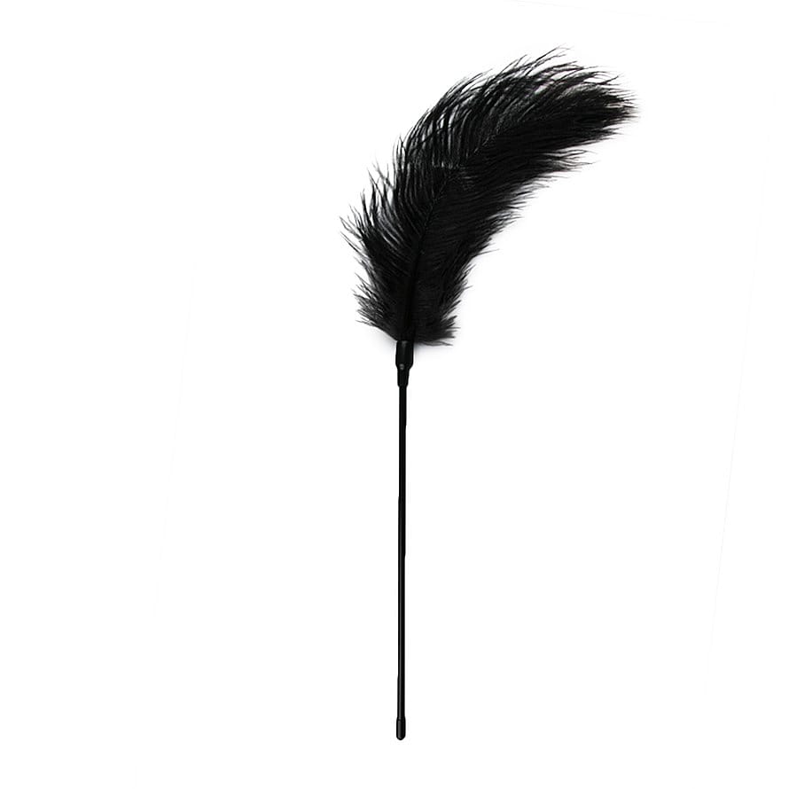 EasyToys Feather Tickler