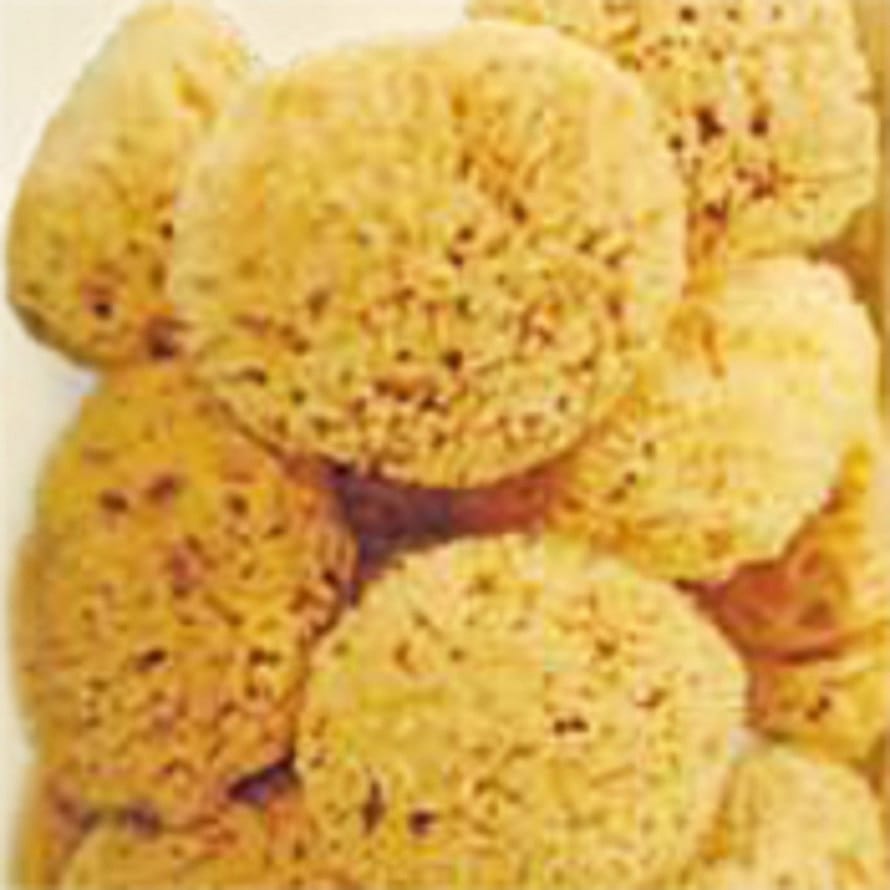 Croll & Denecke Natursvamp 3 cm 3 cm 18 stk.