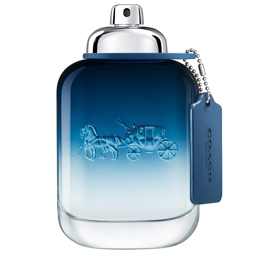 Coach Blue Eau de Toilette 100 ml