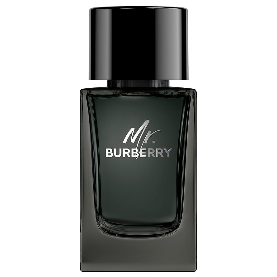Mr Burberry Eau de Parfum 100 ml
