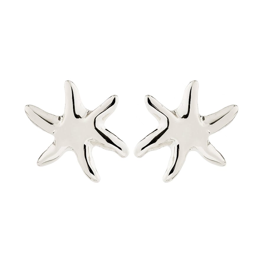 Pilgrim Prism Earrings Silver-Plated 2 pcs