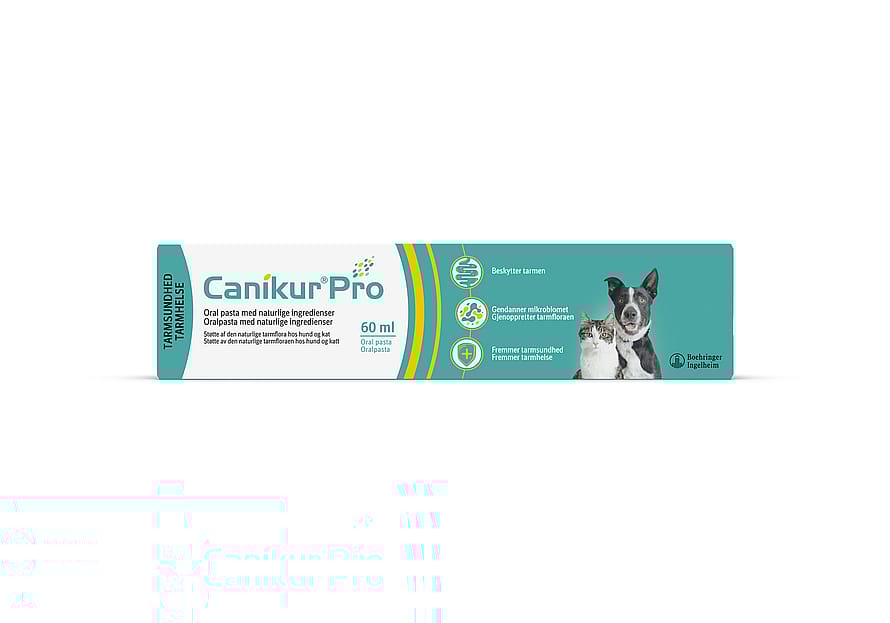 Canikur Pro Pasta til hund og kat 60 ml
