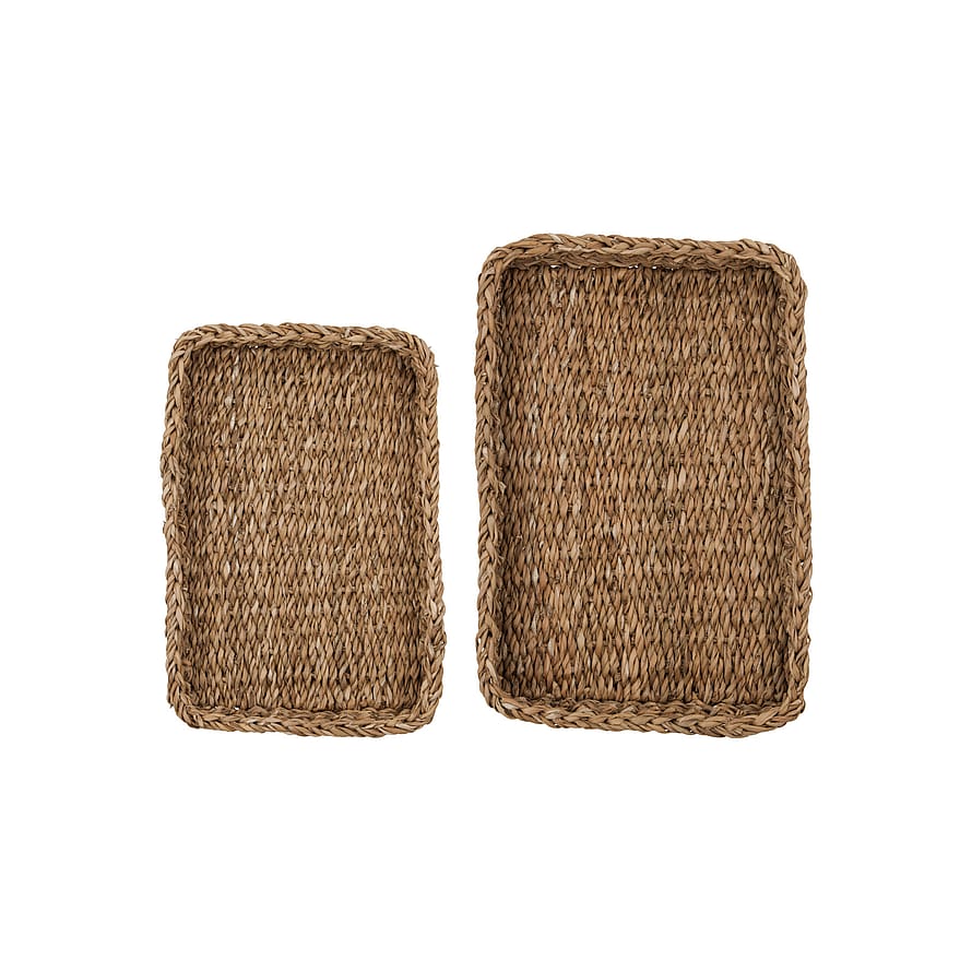 Meraki Bakker Mktrays Natur