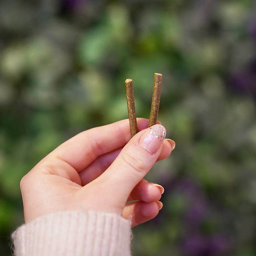 ECOstyle Stueplante gødningspinde 30 stk.