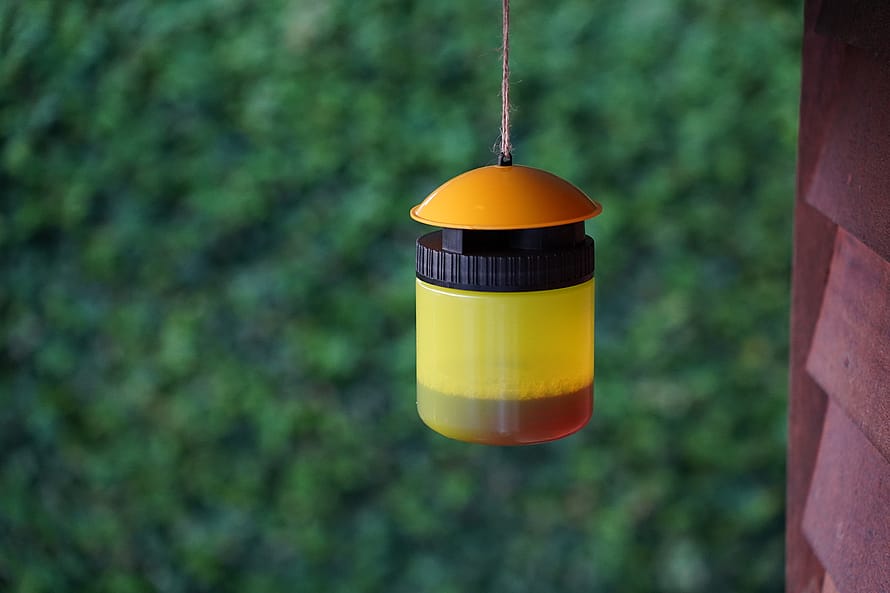 ECOstyle Hvepsefælde inkl. Lokkemiddel