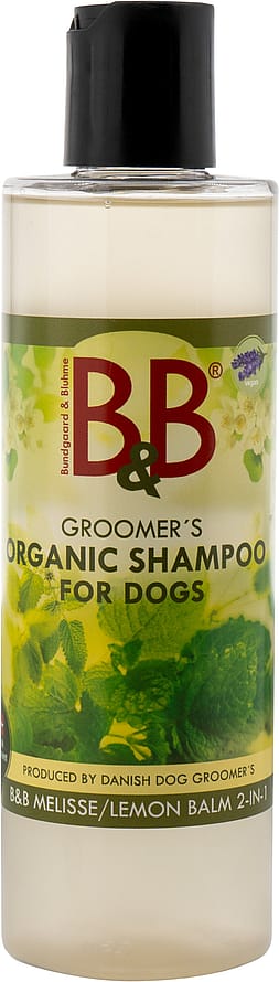 B&B Melisse 2-1 Shampoo 250 ml
