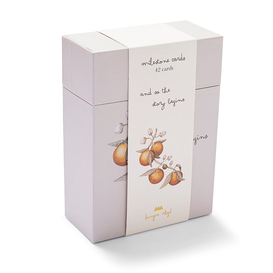 Konges Sløjd Milepælskort Multi