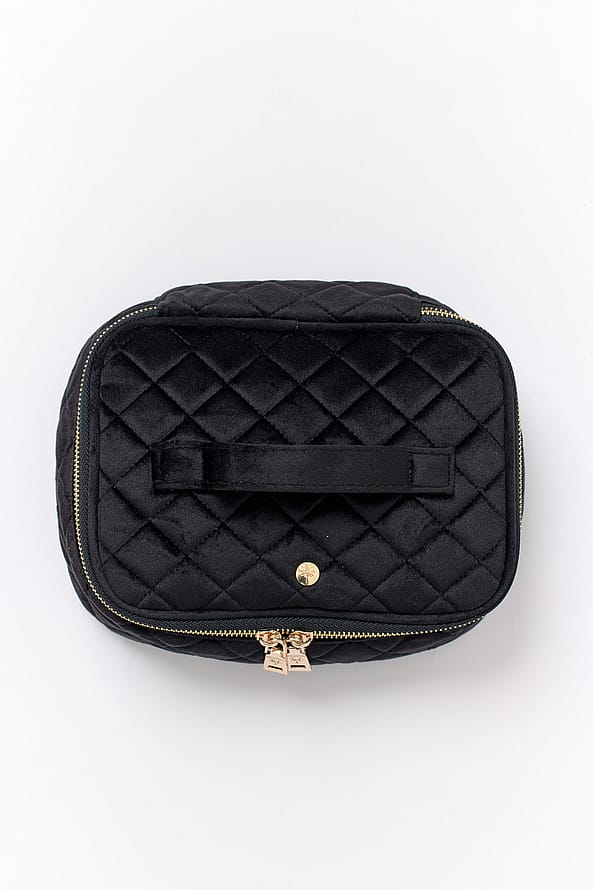 Fan Palm Beauty Queen Onesize