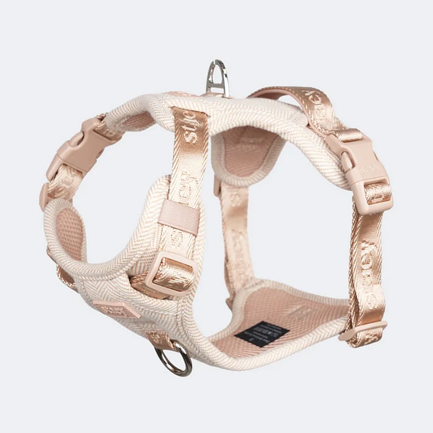 Staey Elma Harness Light Rose L
