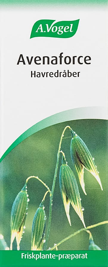 A.Vogel Avenaforce