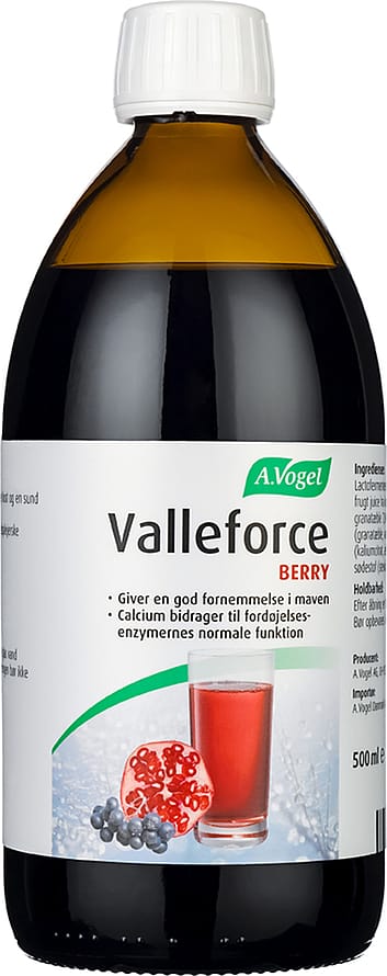 A.Vogel Valleforce Berry 500 ml