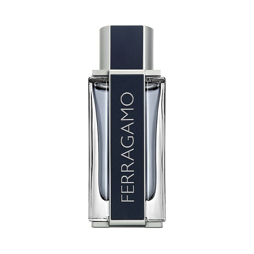 Ferragamo Men Eau de Toilette 100 ml