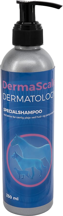 Derma Prescription DermaScale Specialshampoo 250 ml