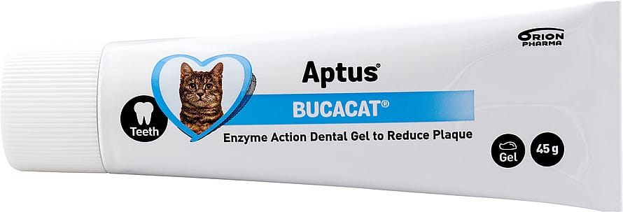 Aptus Bucacat Pasta Tandgel Kat 45 g