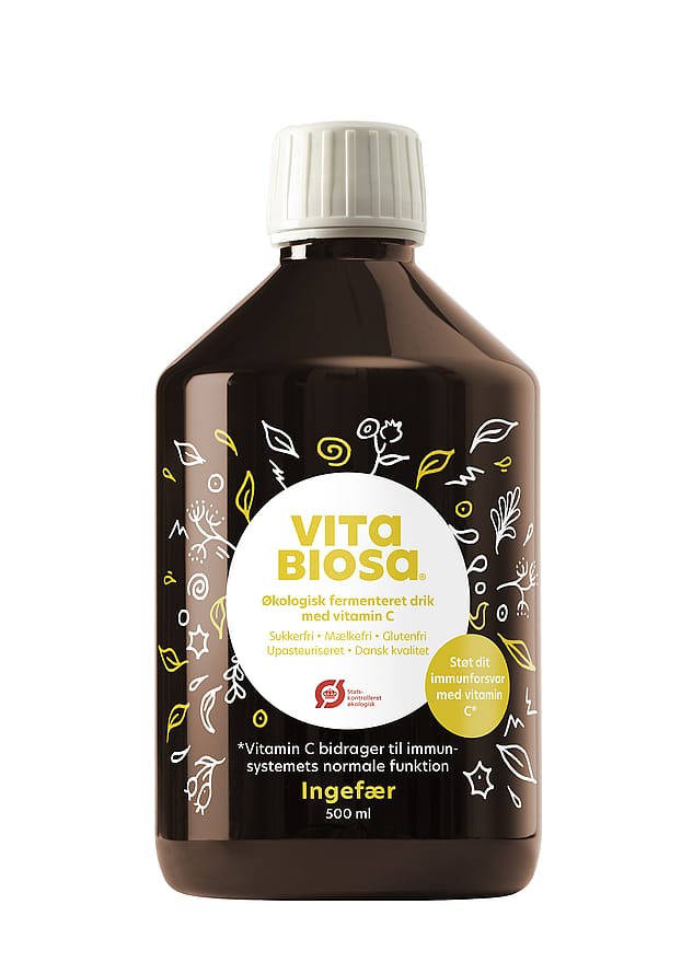 Vita Biosa Fermenteret Drink med Mælkesyrebaktier Ingefær Ø 500 ml